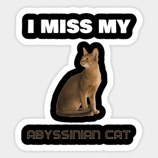 I Miss My Abyssinian Cat Sticker